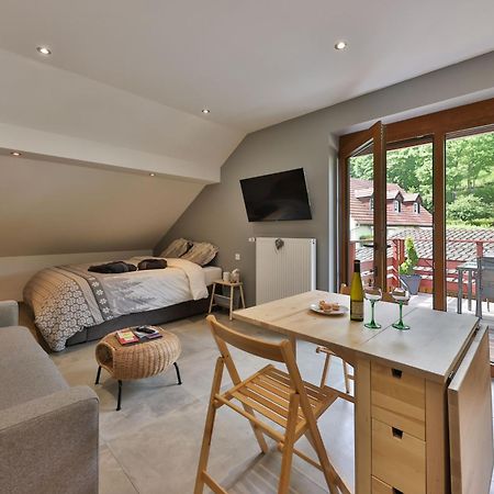 Gite Du Silberwald Charmant Gite Avec Spa - Jacuzzi , Acces Privatif Stosswihr Номер фото
