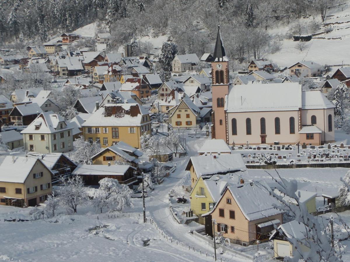 Gite Du Silberwald Charmant Gite Avec Spa - Jacuzzi , Acces Privatif Stosswihr Экстерьер фото